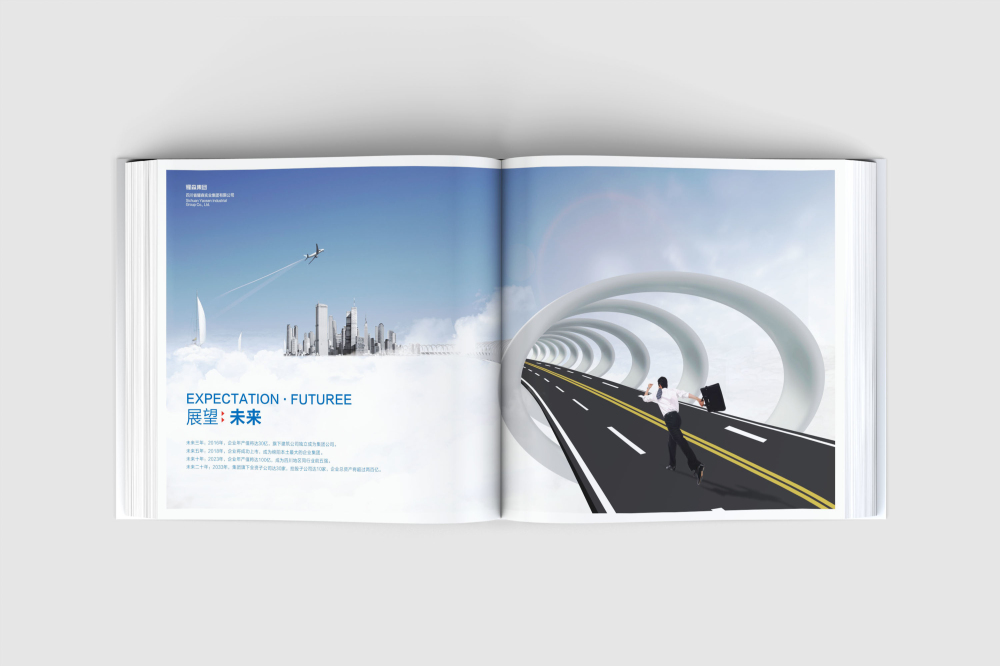 苍山县画册设计